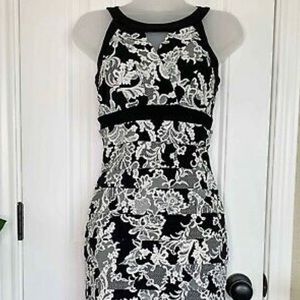 Instantly Slimming WHBM Dress